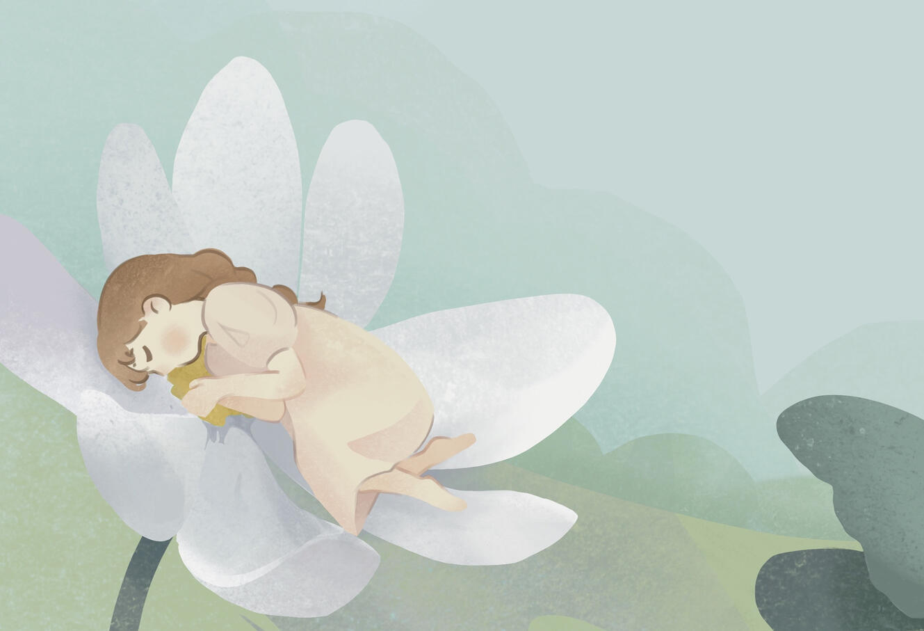 Spring Garden Illustration